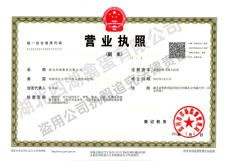 企业执照